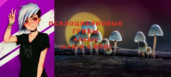 гидропоника Зеленодольск
