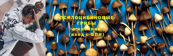 меф Зерноград