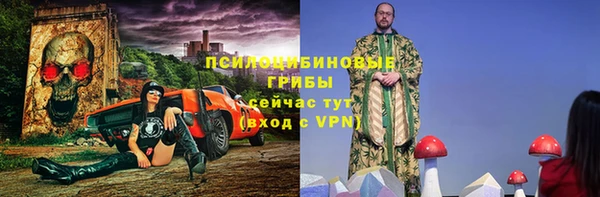 гидропоника Зеленодольск