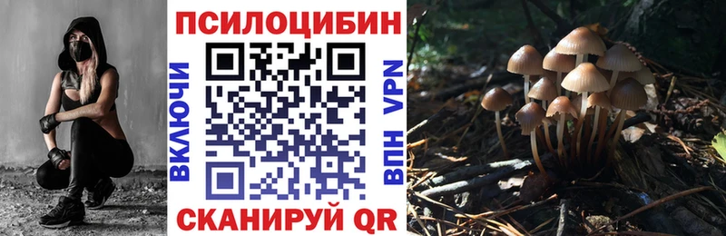 Купить  Наро-Фоминск  Галлюциногенные грибы Psilocybine cubensis 